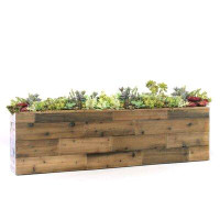 Dalmarko Designs Reclaimed Wood Look Box Floor Succulent Plant in Planter