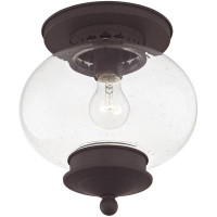 Breakwater Bay Elegant Traditional 1-light Bronze Ceiling Mount Fixture | Hand Blown Seeded Glass Shade | Solid Brass |