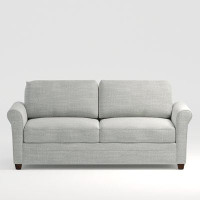 Wayfair Custom Upholstery Demetrius 77" Rolled Arm Sofa Bed with Reversible Cushions