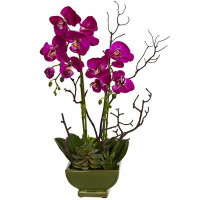 Primrue Orchid Centerpiece in Planter