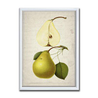 Made in Canada - East Urban Home Pear Old Style Sketch I - Picture Frame Print on Canvas