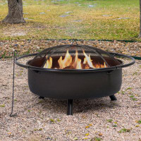 Arlmont & Co. Swind Outdoor Portable Fire Pit
