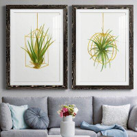 Mercer41 Hanging Airplant II-Premium Framed Print - Ready To Hang