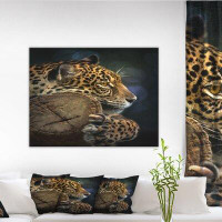 Made in Canada - Design Art Relaxing Jaguar Animal Photographic Print on Wrapped Canvas