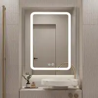 Wrought Studio LED Bathroom Medicine Cabinet Surface Mount Double Door Lighted Medicine Cabinet_Rectangle_6