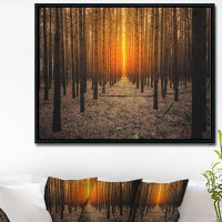 Made in Canada - East Urban Home Halloween Themed Spooky Dark Forest - Photograph Print on Canvas