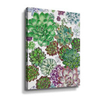 Dakota Fields Fresh Green And Purple Succulent Ornamental Plants Garden Wall I Gallery Wrapped