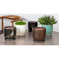 World Menagerie I/O Series 6-Piece Terracotta Pot Planter Set