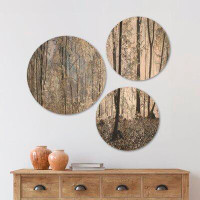 East Urban Home Designart 'Dark Morning In Forest Panorama' Landscape Wood Wall Art Set Of 3 Circles