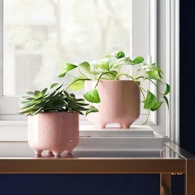 Ebern Designs Chrishiya 2-Piece Pot Planter Set