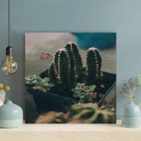 Foundry Select Potted Green Cactus Plant - 1 Piece Square Graphic Art Print On Wrapped Canvas