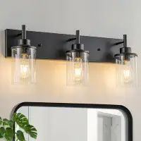Latitude Run® Addam Black Vanity Bathroom Wall Sconce With Clear Glass Lampshade