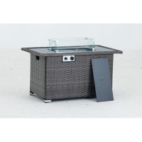 Latitude Run® Juriah 23.68" H x 44.08" W Stainless Steel Propane Outdoor Fire Pit Table