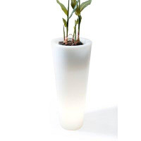 Hokku Designs Aggeo Plastic Pot Planter