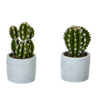 Primrue 2 Piece Cactus Desktop Succulent Plant in Pot Set