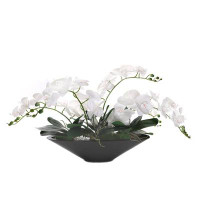 Jenny Silks White Real Touch Phalaenopsis Orchids in Modern Black Pot