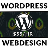 Custom Web Design Fast and Affordable