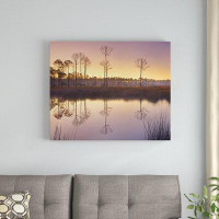 Dovecove Pineland At Piney Point Near Hagen's Cove Florida Unframed Giclee On Paper Print Wall Art