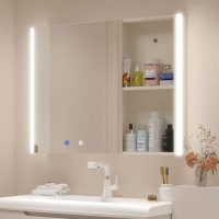 Ebern Designs Wall Mounted Bathroom Led Medicine Cabinet With Light & Defogger, Surface Mounted Storage Cabinet For Bath