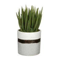 House of Silk Flowers Inc. Artificial Sea Sanded Ceramic Aloe Plant in Decorative Vase