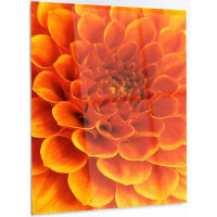 Design Art 'Orange Abstract Flower and Petals' Photographic Print on Metal