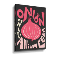 Winston Porter Kitchen Onion Gallery