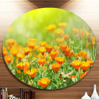 Made in Canada - Design Art 'Yellow Marigold Flowers' Photographic Print on Metal