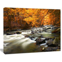Made in Canada - Design Art 'Autumn Terrai with Trees and River' Graphic Art on Wrapped Canvas