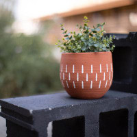 Latitude Run® Terracotta Pot Planter