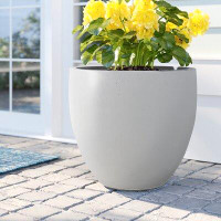 Sol 72 Outdoor™ Acushnet Round Indoor/Outdoor Modern Pot Planter with Drainage Hole