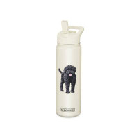 E&S Imports Labradoodle, Black Stainless Steel Water Bottle 24 Oz. With Spill Proof Detachable Straw - Double Walled Vac