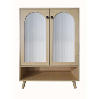 Bay Isle Home™ Shoe Storage Accent Chests/ Cabinets With Adjustable Plates Glass Doors