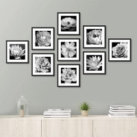 SIGNLEADER Grayscale Contrast Flower Plant Nature Wilderness Photography Modern Art Rustic Boho Relax/Calm - 9 Piece Pic