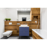 Ebern Designs Aria 24 x 18 Floating 2 Drawer Bathroom Vanity with Vessel Sink
