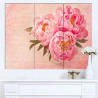Made in Canada - Design Art 'Peony Flowers against Scribbled Back' 3 Piece Graphic Art on Wrapped Canvas Set