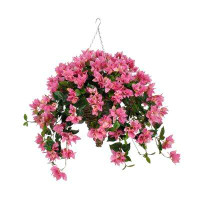 House of Hampton Faux Bougainvillea Trailing Hanging Flowering Plant in a Suspended Planter