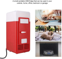 NEW MINI REFRIGERATOR WITH USB MOBILE POWER 5231201