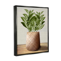 Stupell Industries Greenery in Woven Planter Framed Floater Canvas Wall Art by Marcus Prime