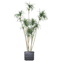 Vintage Home 104"H Vintage Real Touch Dragon Tree, Indoor/ Outdoor,  In Pot With Rope Basket (46X46x98"H)