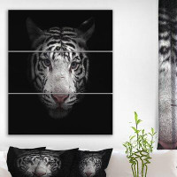 Made in Canada - East Urban Home 'White Bengal Tiger Face' Photographic Print Multi-Piece Image on Wrapped Canvas