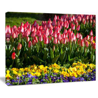 Made in Canada - Design Art 'Red Tulips with Yellow Purple Flowers' Photographic Print on Wrapped Canvas