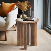Millwood Pines Basit Style 22'' tall End Table