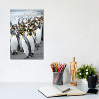 East Urban Home King Penguin Rookery On Salisbury Plain In The Bay Of Isles. South Georgia Island - Wrapped Canvas Print