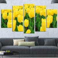 Design Art 'Bright Tulip Flowers in Garden' 5 Piece Photographic Print on Wrapped Canvas Set