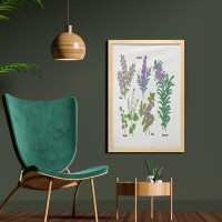 East Urban Home Ambesonne Herb Wall Art With Frame, Botanical Infographic With Sage Melissa Lavender Mint And Rosemary P