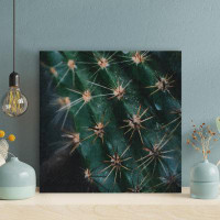 Foundry Select Cactus Plant 2 - 1 Piece Square Graphic Art Print On Wrapped Canvas