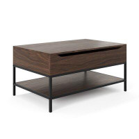 Latitude Run® Lift Top Frame Coffee Table with Storage