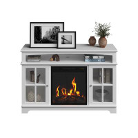 Red Barrel Studio 44.5" Fireplace Media Console with Remote (White)