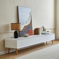 Corrigan Studio TV cabinet Simple modern light luxury living room home  white TV cabinet