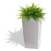 Wrought Studio Byrum Plastic Indoor/Outdoor Pot Planter with Water Tray